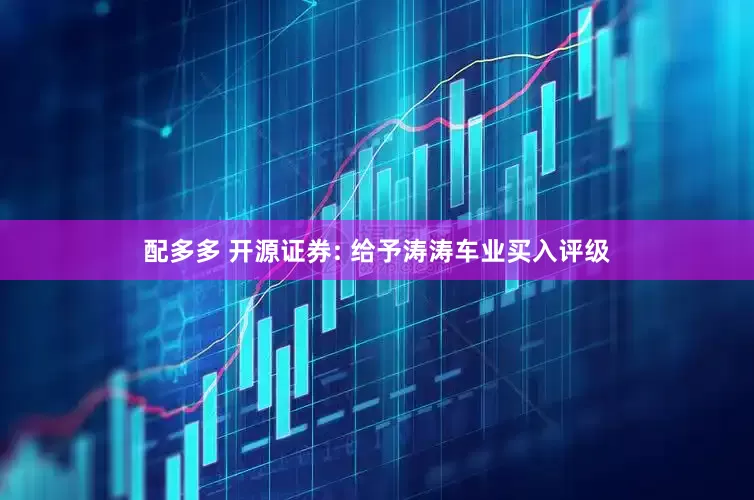 配多多 开源证券: 给予涛涛车业买入评级