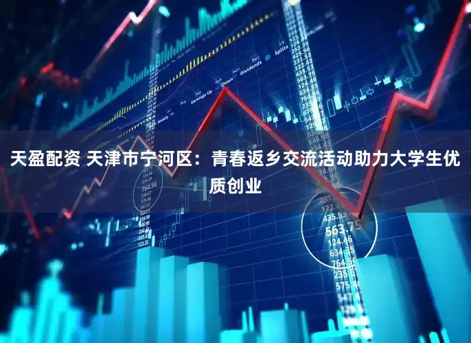 天盈配资 天津市宁河区：青春返乡交流活动助力大学生优质创业