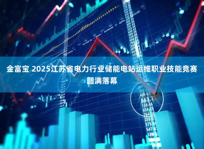金富宝 2025江苏省电力行业储能电站运维职业技能竞赛圆满落幕